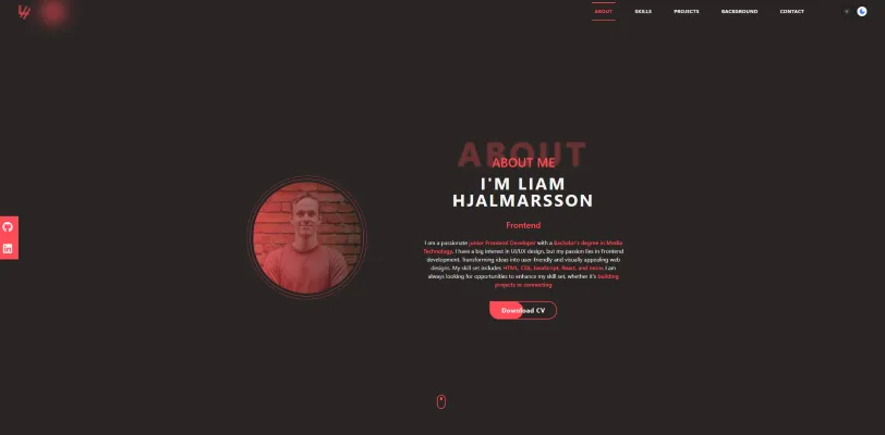 Portfolio project preview